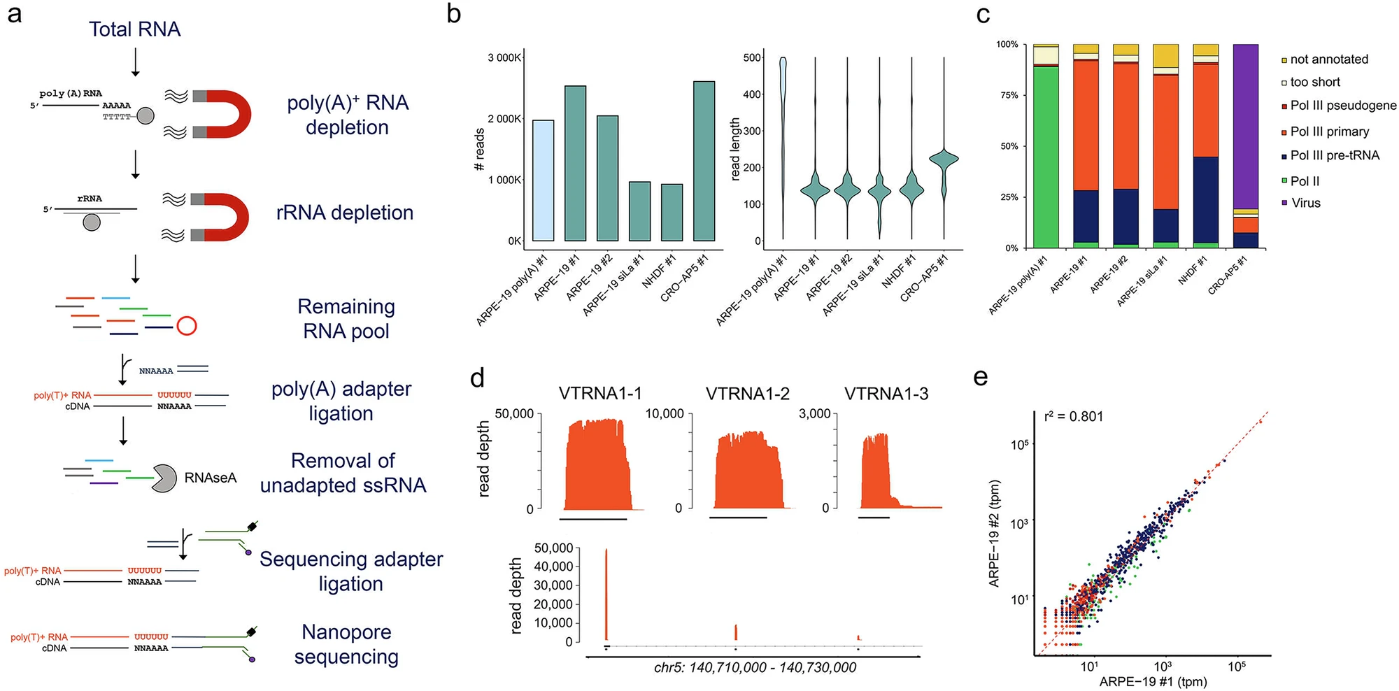 Defining expansions and perturbations to the RNA polymerase III transcriptome and epitranscriptome by modified direct RNA nanopore sequencing